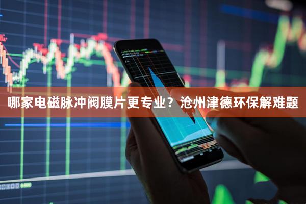 哪家电磁脉冲阀膜片更专业？沧州津德环保解难题
