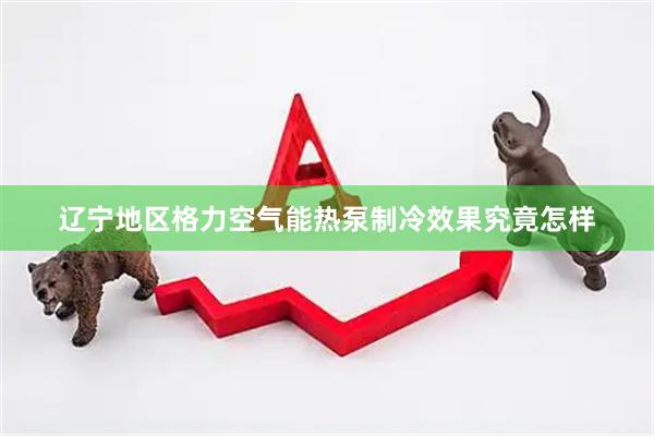 辽宁地区格力空气能热泵制冷效果究竟怎样
