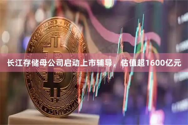 长江存储母公司启动上市辅导，估值超1600亿元