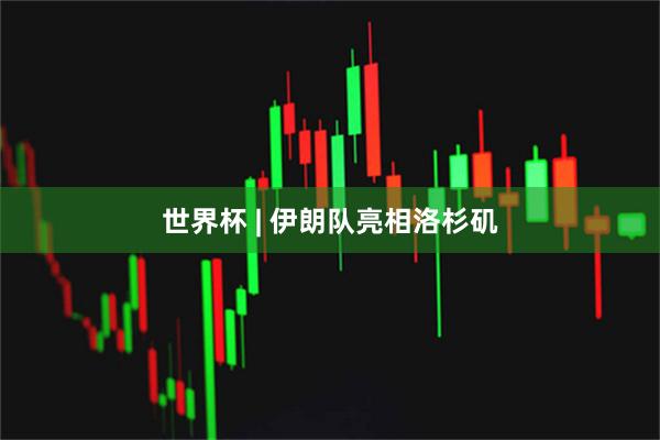 世界杯 | 伊朗队亮相洛杉矶