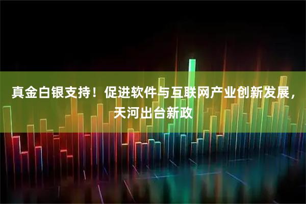 真金白银支持！促进软件与互联网产业创新发展，天河出台新政