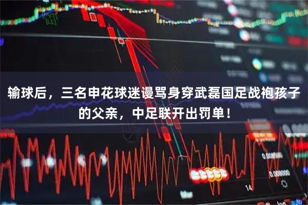 输球后，三名申花球迷谩骂身穿武磊国足战袍孩子的父亲，中足联开出罚单！